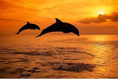 2D手绘游戏《Inayah: Life After Gods》开启众筹